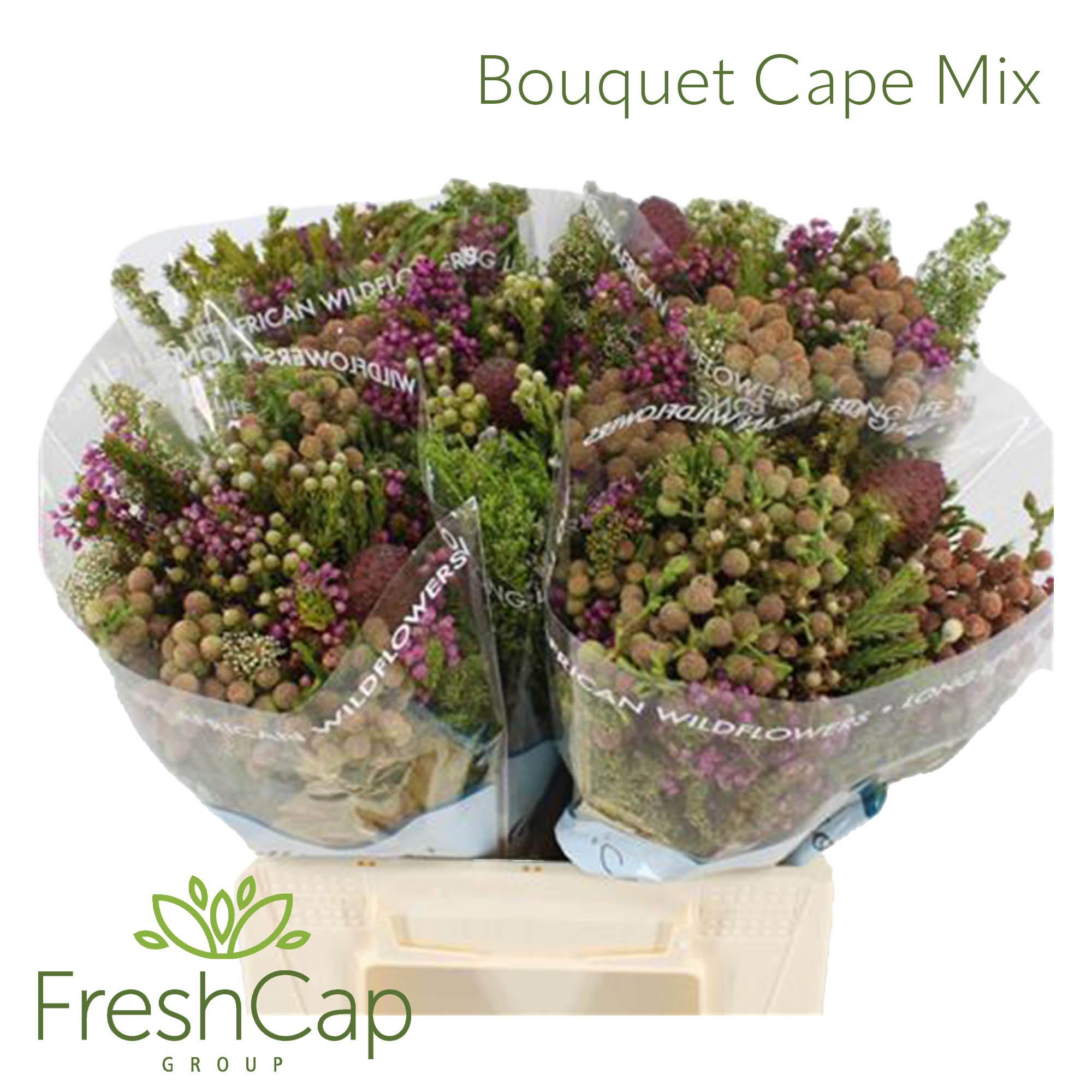 باقة مشكّلة – Bouquet Cape Mix