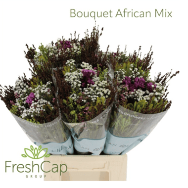 باقة مشكّلة – Bouquet African Mix